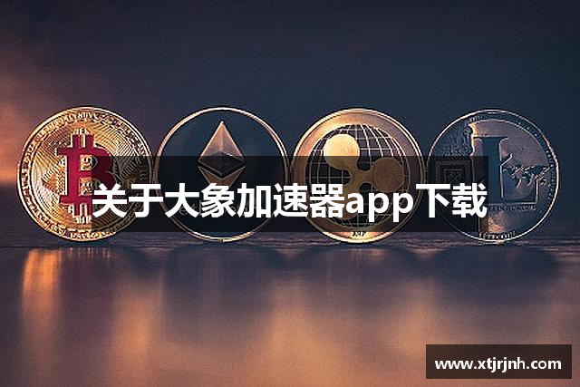 关于大象加速器app下载